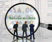 Báo cáo tài chính của công ty mẹ và công ty con theo Luật Doanh nghiệp Báo cáo tài chính của công ty mẹ và công ty con theo Luật Doanh nghiệp