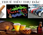 Cách hạch toán thuế tiêu thụ đặc biệt theo quy định pháp luật Cách hạch toán thuế tiêu thụ đặc biệt theo quy định pháp luật