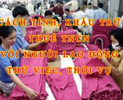 Cách tính thuế thu nhập cá nhân với người lao động thời vụ Cách tính thuế thu nhập cá nhân với người lao động thời vụ