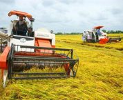 Quyền và nghĩa vụ của thành viên hợp tác xã Quyền và nghĩa vụ của thành viên hợp tác xã