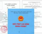 Xin cấp Giấy phép lao động người nước ngoài Xin cấp Giấy phép lao động người nước ngoài