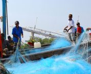 Quyền và nghĩa vụ của hợp tác xã thành viên theo pháp luật Quyền và nghĩa vụ của hợp tác xã thành viên theo pháp luật