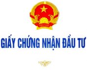 Cấp lại Giấy chứng nhận đăng ký đầu tư ra nước ngoài Cấp lại Giấy chứng nhận đăng ký đầu tư ra nước ngoài
