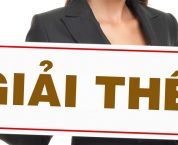 Giải thể doanh nghiệp bảo hiểm, doanh nghiệp môi giới bảo hiểm, chấm dứt hoạt động chi nhánh nước ngoài Giải thể doanh nghiệp bảo hiểm, doanh nghiệp môi giới bảo hiểm, chấm dứt hoạt động chi nhánh nước ngoài