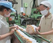 Thành lập doanh nghiệp sản xuất thuốc lá theo quy định pháp luật Thành lập doanh nghiệp sản xuất thuốc lá theo quy định pháp luật