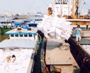 Quy định pháp luật về giảm thuế xuất khẩu, thuế nhập khẩu Quy định pháp luật về giảm thuế xuất khẩu, thuế nhập khẩu