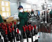 Điều kiện thành lập cơ sở sản xuất rượu công nghiệp Điều kiện thành lập cơ sở sản xuất rượu công nghiệp
