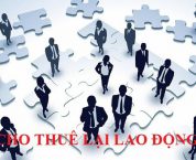 Cấp, cấp lại, gia hạn Giấy phép hoạt động cho thuê lại lao động Cấp, cấp lại, gia hạn Giấy phép hoạt động cho thuê lại lao động