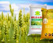 Hồ sơ cấp Giấy chứng nhận đủ điều kiện sản xuất, buôn bán phân bón Hồ sơ cấp Giấy chứng nhận đủ điều kiện sản xuất, buôn bán phân bón
