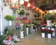 Những lưu ý khi mở cửa hàng hoa tươi về mặt pháp lý Những lưu ý khi mở cửa hàng hoa tươi về mặt pháp lý