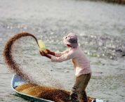 Điều kiện thủ tục Kinh doanh thức ăn thuỷ sản thức ăn chăn nuôi Điều kiện thủ tục Kinh doanh thức ăn thuỷ sản thức ăn chăn nuôi