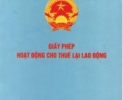 Điều kiện cấp giấy phép hoạt động cho thuê lại lao động Điều kiện cấp giấy phép hoạt động cho thuê lại lao động