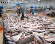 Điều kiện đầu tư kinh doanh về thủy sản theo quy định mới nhất Điều kiện đầu tư kinh doanh về thủy sản theo quy định mới nhất