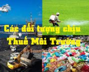 Đối tượng chịu thuế thuế bảo vệ môi trường theo pháp luật Đối tượng chịu thuế thuế bảo vệ môi trường theo pháp luật