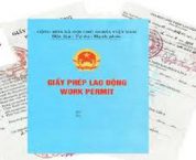 Giấy phép lao động là gì? Giấy phép lao động là gì?